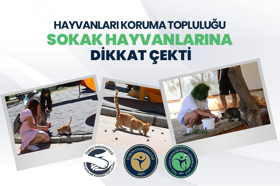 HAYVANLARI KORUMA TOPLULUĞU SOKAK HAYVANLARINA DİKKAT ÇEKTİ